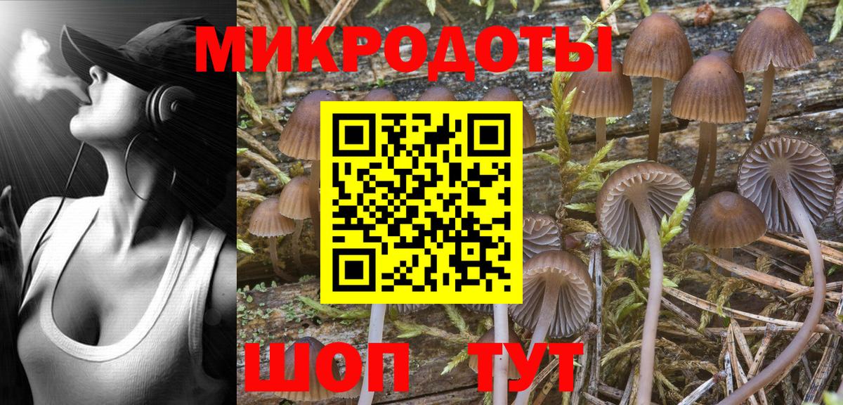 Каменка  Галлюциногенные грибы MAGIC MUSHROOMS  как найти   Вход с VPN 